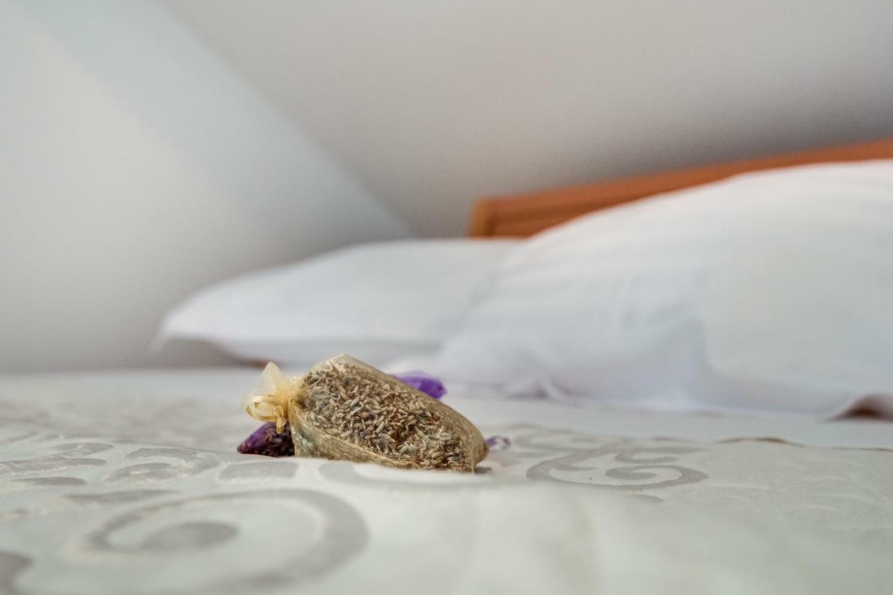 Studio Maslina Appartement Šibenik Buitenkant foto